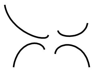 ctoslr1a.gif