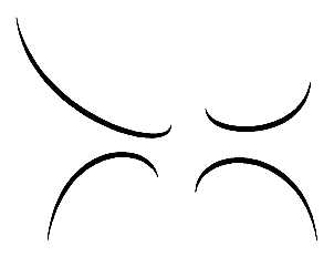 ctoslr1b.gif